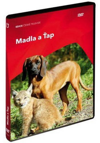Handles and Tap - DVD - DVD Film - Main image