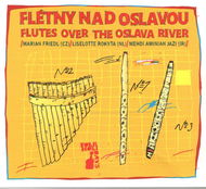 Flétny nad Oslavou: Folkové prázdniny - CD - Hudební CD