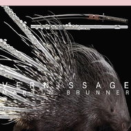 Brunner Martin: Vernissage - CD - Hudební CD
