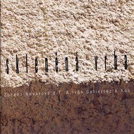 Navarová Zuzana dt &amp; Gutiérrez &amp; Koa: Glass Willow - CD - Music CD
