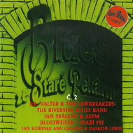 Various: Blues ze Staré Pekárny No. 2 - CD - Music DVD