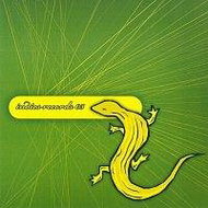 Various: Indies 2005 - CD - Music CD