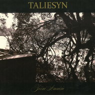 Taliesyn: South Amnesia - CD - Music CD