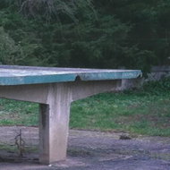 Luna: Close To Silence - CD - Music DVD