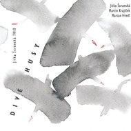 Šuranská Jitka Trio: Divé husy - CD - Hudební DVD