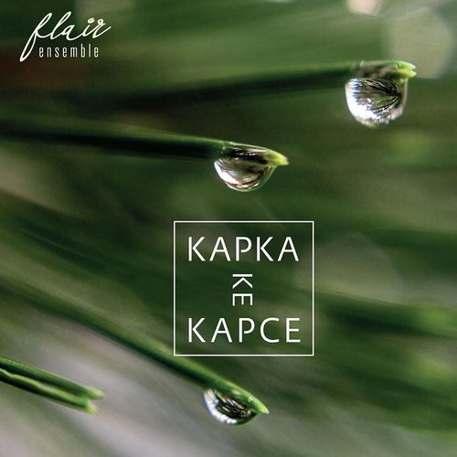 Flair Ensemble: Drop by Drop - CD - Music CD - Main image
