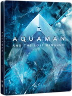 Aquaman and the Lost Kingdom (Steelbook - motif Ice) - Blu-ray Film