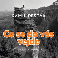 Kamil Pestak: What you can fit in you - CD Audiobooks
