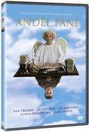 Anděl Páně - DVD - Film na DVD