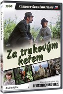 DVD Film Behind the Thorn Shrub - CZECH FILM JEWELERY edition (remastered version) - DVD - Film na DVD