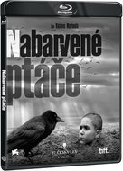 The Painted Bird (2 discs) - Blu-ray - Blu-ray Film