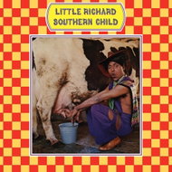 Richard Little: Southern Child - LP - LP Record