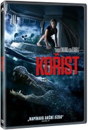 Booty - DVD - DVD Film