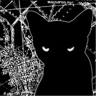 The Wilderness: III - LP - LP Record