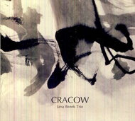 Bezek Jana Trio: Cracow - CD - Music CD