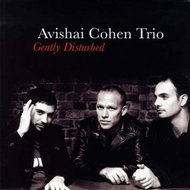 Cohen Avishai, Avishai Cohen Trio: Gently Disturbed - LP - LP vinyl