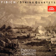 Panochovo kvarteto: Smyčcové kvartety, Variace - CD - Hudební CD