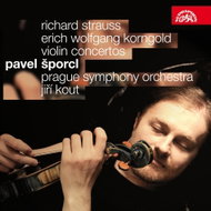 Šporcl Pavel, Prague Symphony Orchestra, Kout Jiří: Violin Concertos - CD - Music CD