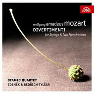 Tylšar Zdeněk and Bedřich, Stamic Quartet: Divertimenta for string quartet and two horns (2x - Music DVD