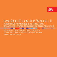 Guarneri Trio Prague: Chamber Work (Piano Trios, Chamber Compositions) (7x CD) - CD - Music CD