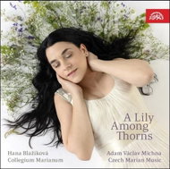 Blažíková Hana, Collegium Marianum: Mariánská muzika - CD - Hudební CD