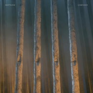 Skepticism: Companion - CD - Music CD