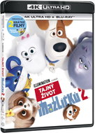 The Secret Life of Pets 2 (2 discs) - Blu-ray + 4K Ultra HD - Blu-ray Film