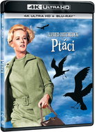 The Birds (2 discs) - 4K Ultra HD + Blu-ray - Blu-ray Film