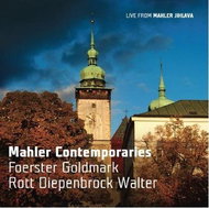 Various: Mahler Contemporaries - CD - Music CD