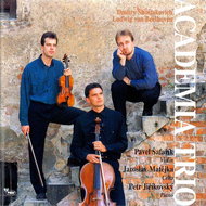Academia Trio: Academia Trio - CD - Music CD