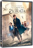 DVD Film Fantastic Beasts and Where to Find Them - DVD - Film na DVD