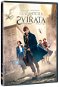 DVD Film Fantastic Beasts and Where to Find Them - DVD - Film na DVD