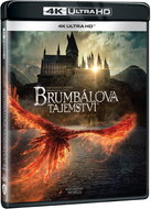 Fantastic Beasts: Dumbledore's Secret - 4K UltraHD - Blu-ray Film