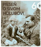 Song of the Grey Pigeon - Blu-ray Film
