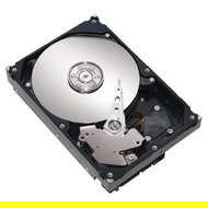 Hard drive MAXTOR DiamondMax 20 160GB 8MB Cache - Hard Drive
