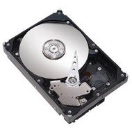 MAXTOR DiamondMax 23 250GB - Hard Drive