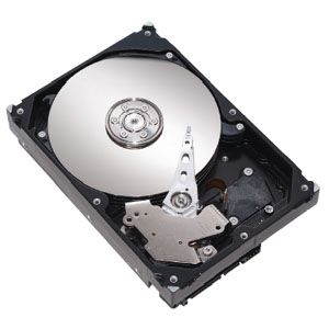 MAXTOR DiamondMax 23 250GB - Hard Drive - Main image