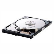 Hard Drive SAMSUNG 2.5" Spinpoint M5 HM160HC 160GB - Hard Drive