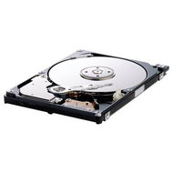 Pevný disk Samsung 2.5" Spinpoint M5 HM250JI 250GB - Hard Drive