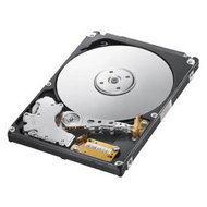 SAMSUNG 2.5'' SpinPoint MP4 320GB - Hard Drive