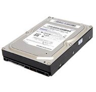Samsung SpinPoint T166 320GB - Hard Drive