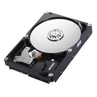 Samsung SpinPoint F4 320GB - Hard Drive