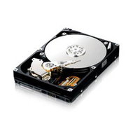 Samsung SpinPoint 300GB - Hard Drive