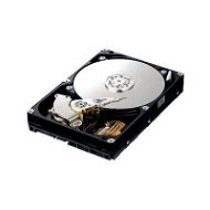 Harddisk SAMSUNG SpinPoint F2 500GB - Hard Drive