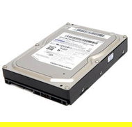 Pevný disk Samsung SpinPoint T166 750GB - Hard Drive