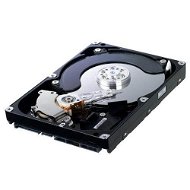 SAMSUNG SpinPoint F3 1500GB - Hard Drive