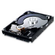 Samsung SpinPoint F2 1.5TB - Pevný disk
