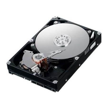 SAMSUNG SpinPoint F3 2000GB - Hard Drive - Main image