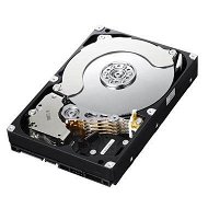 Samsung SpinPoint EcoGreen F4 2TB - Hard Drive