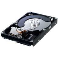 Samsung SpinPoint F1 RAID 1TB - Hard Drive